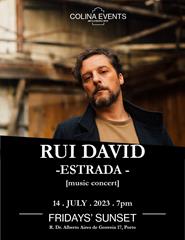 Rui David - Estrada