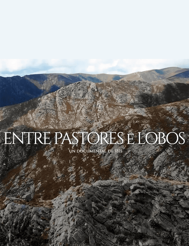 Cartel oficial del evento "Entre Pastores y Lobos" | Lua Cheia da Terra