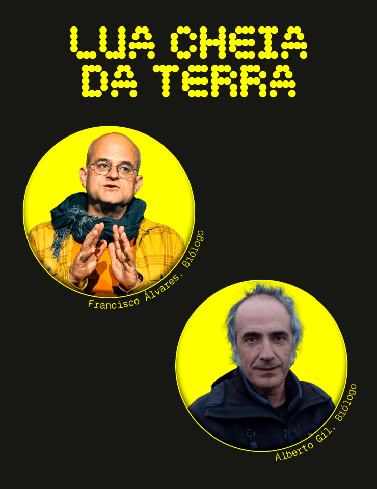 "Lobo - A importância da proteção e conservação" | Lua Cheia da Terra