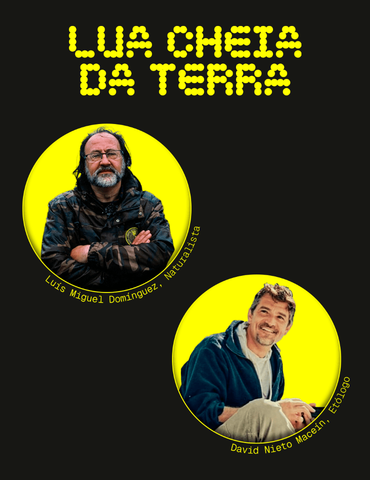 Offizielles Cover des Events "Lobo - História(s) e Comportamento" | Lua Cheia da Terra