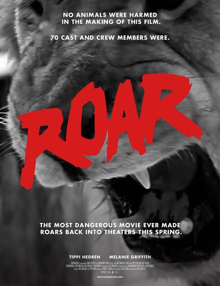 Cartel oficial del evento Passos no Escuro - Roar