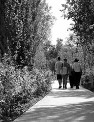 Visita Jardins e Instalações de Arte Permanentes